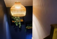 其他 4 Wave Cottage Bristol