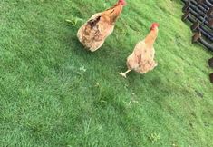 其他 4 Qingyunge Hotel