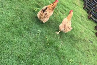 其他 4 Qingyunge Hotel