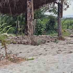 Primary image1Muguet by Ibiscot Development,Busiiro飯店