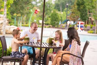 其他 4 Dollywood's DreamMore Resort