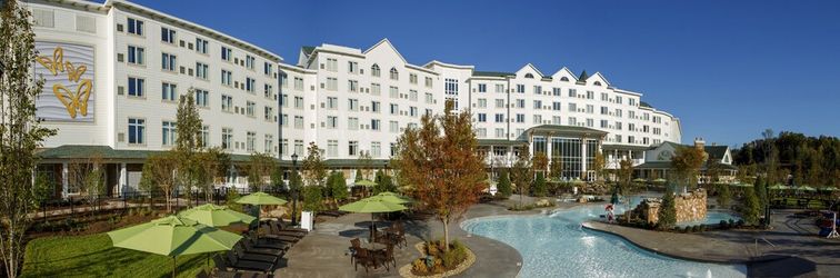 其他 Dollywood's DreamMore Resort