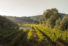 其他 3 Hotel Rural Sant Patrici