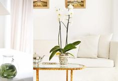 其他 4 Aqua Marine