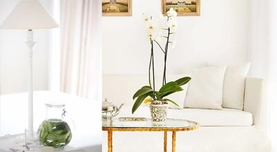 其他 4 Aqua Marine