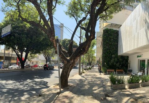 其他 Adrena Hostel