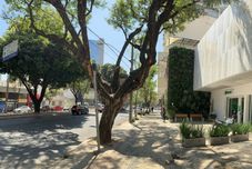 其他 Adrena Hostel