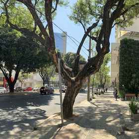 メイン イメージ 1 Adrena Hostel, Expo Minas Convention Center Hotels