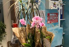 อื่นๆ 2 La Bella Suite Hotel