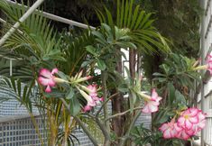 其他 5 Hotel Los Angeles