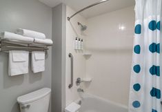 기타 7 TownePlace Suites Dallas McKinney