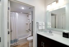 기타 4 TownePlace Suites Dallas McKinney