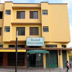 Primary image1索倫托飯店,Japanese Garden飯店