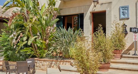 Others 2 Sa Vinya des Convent Agroturismo