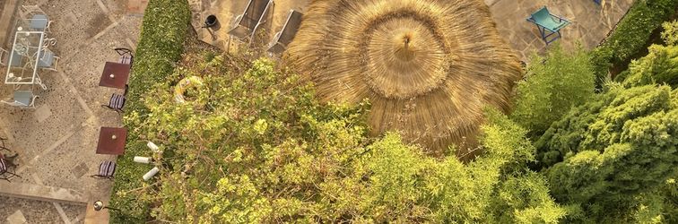 その他 Sa Vinya des Convent Agroturismo