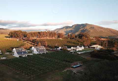 Others Endless Vineyards at Wildekrans Wine Estate