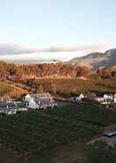 Primary image Endless Vineyards at Wildekrans Wine Estate