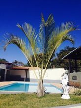 Others 4 Pousada da Lapa