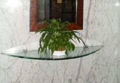 Others 2 Hotel Anoeta