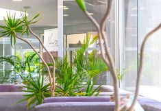 その他 7 Hyde Park Lane