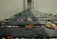 기타 2 Java Wood Villa