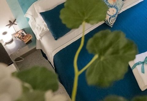 Lain-lain Picagetta Room with AC