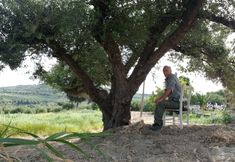 Others 4 Villa Phyllia, a Property With History