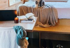 其他 5 Postcard Cabins Eastern Catskills, Outdoor Collection by Marriott Bonvoy