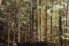其他 Postcard Cabins Eastern Catskills, Outdoor Collection by Marriott Bonvoy