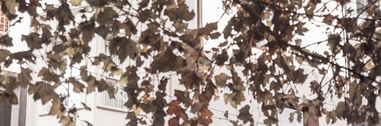 その他 Smart and Simple Hotel Karakoy