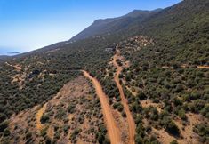 Others 6 Tatil Kasta