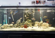 その他 6 Melwood Suites Unit 107 Studio