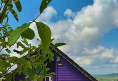 其他 7 Simisso Kasaba Dağ Oteli