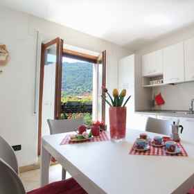Primary image1Apartment With Garden, Del Corlo Lake, Belluno,多梅杰迪卡多雷公寓