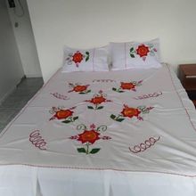 其他 4 Pousada Biônica