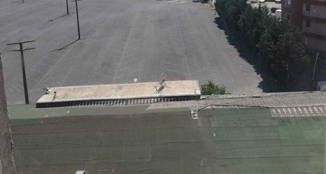 기타 2 MERZE SUİT