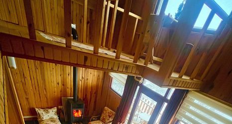 Khác 2 Ny Çambaşı