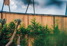 Others 6 KARMATTE BUNGALOW