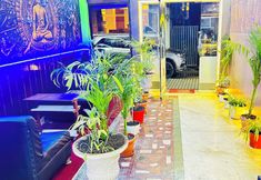 Khác 5 Hotel Plumeria Inn