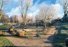 其他 6 Elegant Eingerichtete Ferienwohnung