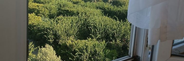 기타 Camino Village Hostel