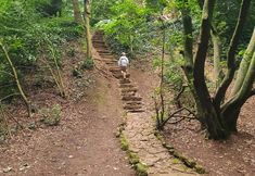 其他 6 Tranquil Wells Retreat