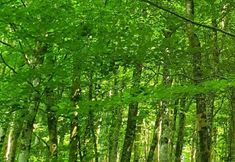 其他 5 Tranquil Wells Retreat