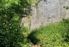 其他 4 Tranquil Wells Retreat