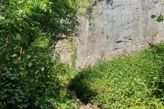 其他 4 Tranquil Wells Retreat