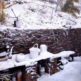 Primary image 1 Way Wood Wind Lodge, Seclude Ramgarh, Taradale Hotels