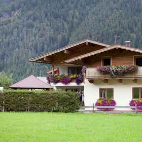 Primary image1Alluring Apartment With Swimming Pool in Waidring Tyrol，戈因阿姆维尔登凯泽公寓