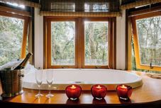 Others Amanita Estalagem