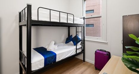 기타 2 Homi Central