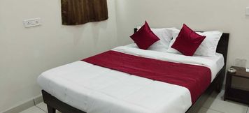 Others 3 Hotel Krrish Palace